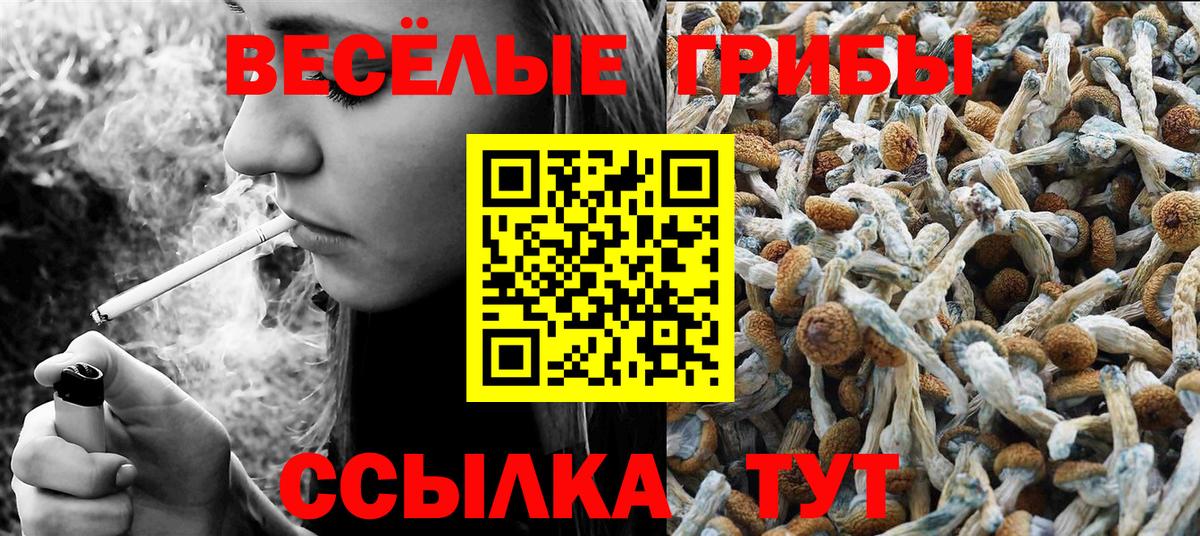 даркнет сайт  Вход с VPN  Петрозаводск  Галлюциногенные грибы MAGIC MUSHROOMS  Галлюциногенные грибы GOLDEN TEACHER 